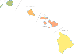 Polygraph test in Hawaii